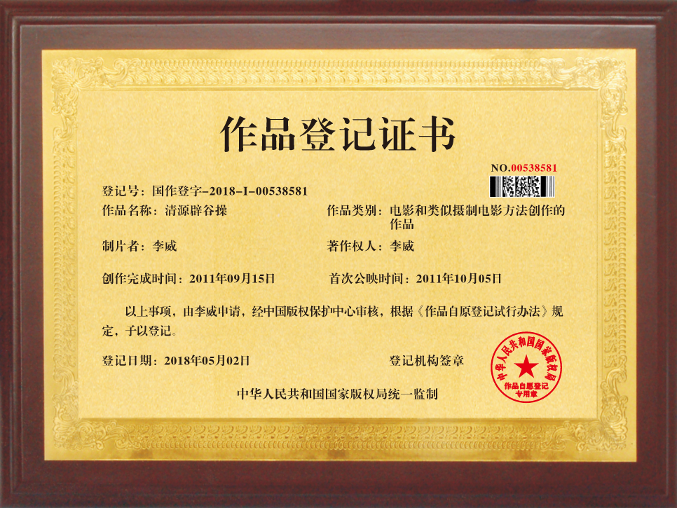 荣誉证书 09